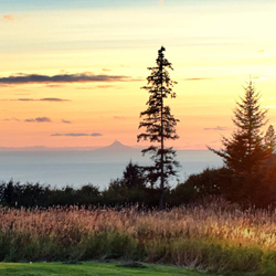 View from Storyknife courtesy of Kim Rogers, inaugural Storyknife resident